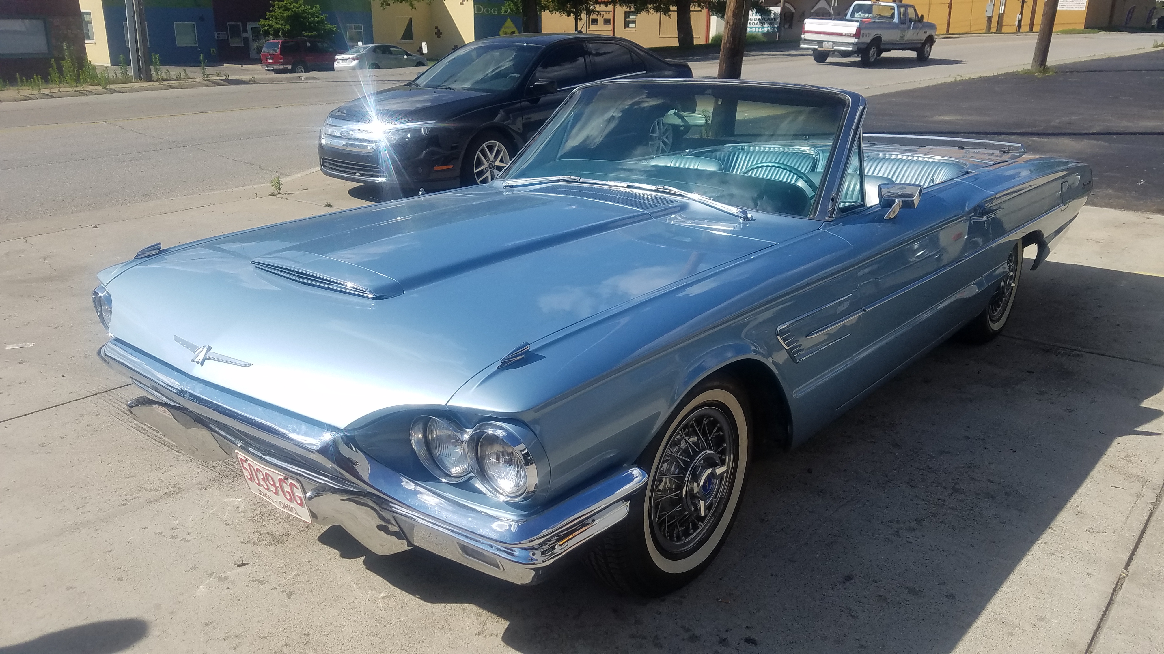 Gallery Item Photo 16